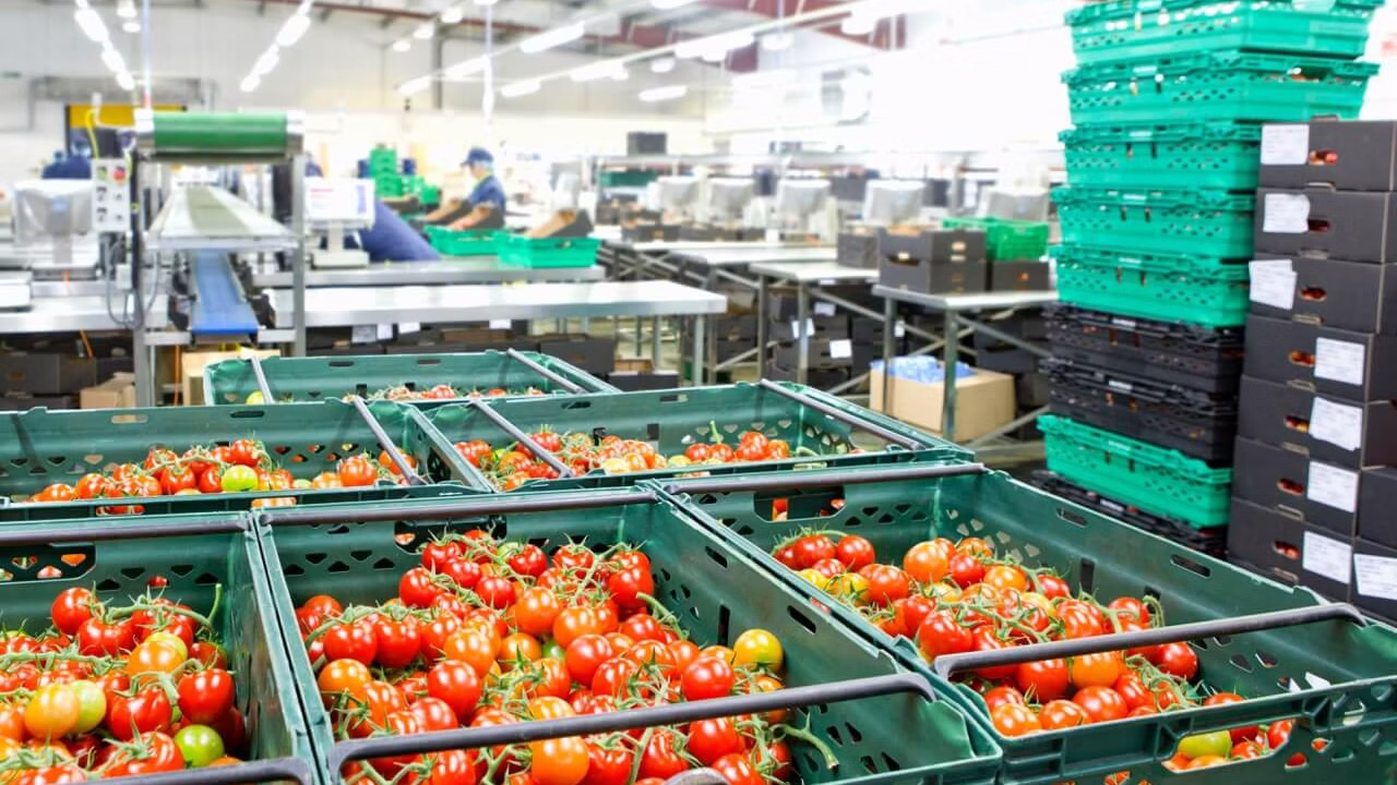 Fresh produce at a LuxFoods food processing facility
